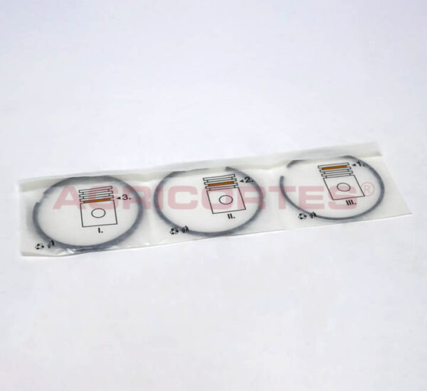<SPAN CLASS='ALIDATA-PT'>JOGO SEGMENTOS STD LDW1503 3/2/2</SPAN><SPAN CLASS='ALIDATA-EN'>RINGS STAND.</SPAN>