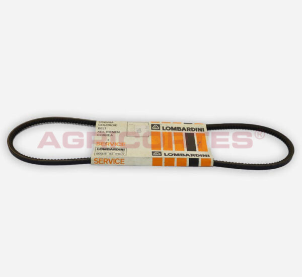 <SPAN CLASS='ALIDATA-PT'>CORREIA )</SPAN><SPAN CLASS='ALIDATA-EN'>CINGHIA/VEEBELT</SPAN>