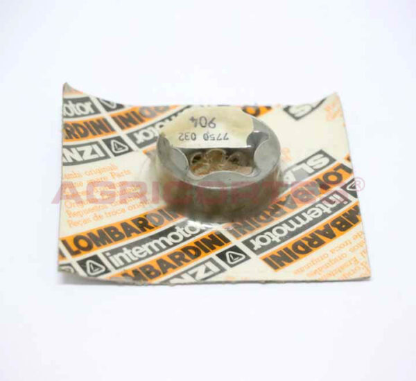 <SPAN CLASS='ALIDATA-PT'>ROTOR  BOMBA OLEO GRUPO 8</SPAN><SPAN CLASS='ALIDATA-EN'>ROTORE/ROTOR</SPAN>