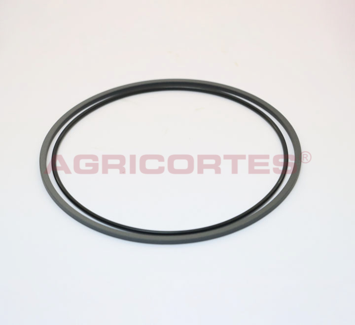 <SPAN CLASS='ALIDATA-PT'>KIT OR+SEGM   (2)</SPAN><SPAN CLASS='ALIDATA-EN'>oil seal</SPAN>