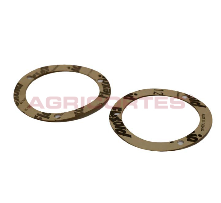 <SPAN CLASS='ALIDATA-PT'>JUNTA</SPAN><SPAN CLASS='ALIDATA-EN'>Gasket (Water Pump)</SPAN>