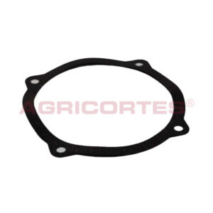 <SPAN CLASS='ALIDATA-PT'>JUNTA BOMBA</SPAN><SPAN CLASS='ALIDATA-EN'>Gasket Water Pump</SPAN>