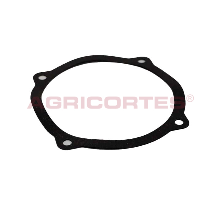 <SPAN CLASS='ALIDATA-PT'>JUNTA BOMBA</SPAN><SPAN CLASS='ALIDATA-EN'>Gasket Water Pump</SPAN>