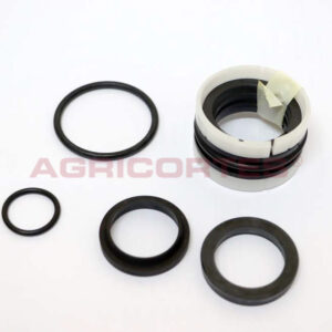 <SPAN CLASS='ALIDATA-PT'>VEDANTE</SPAN><SPAN CLASS='ALIDATA-EN'>Gasket set (Hydraulic)</SPAN>